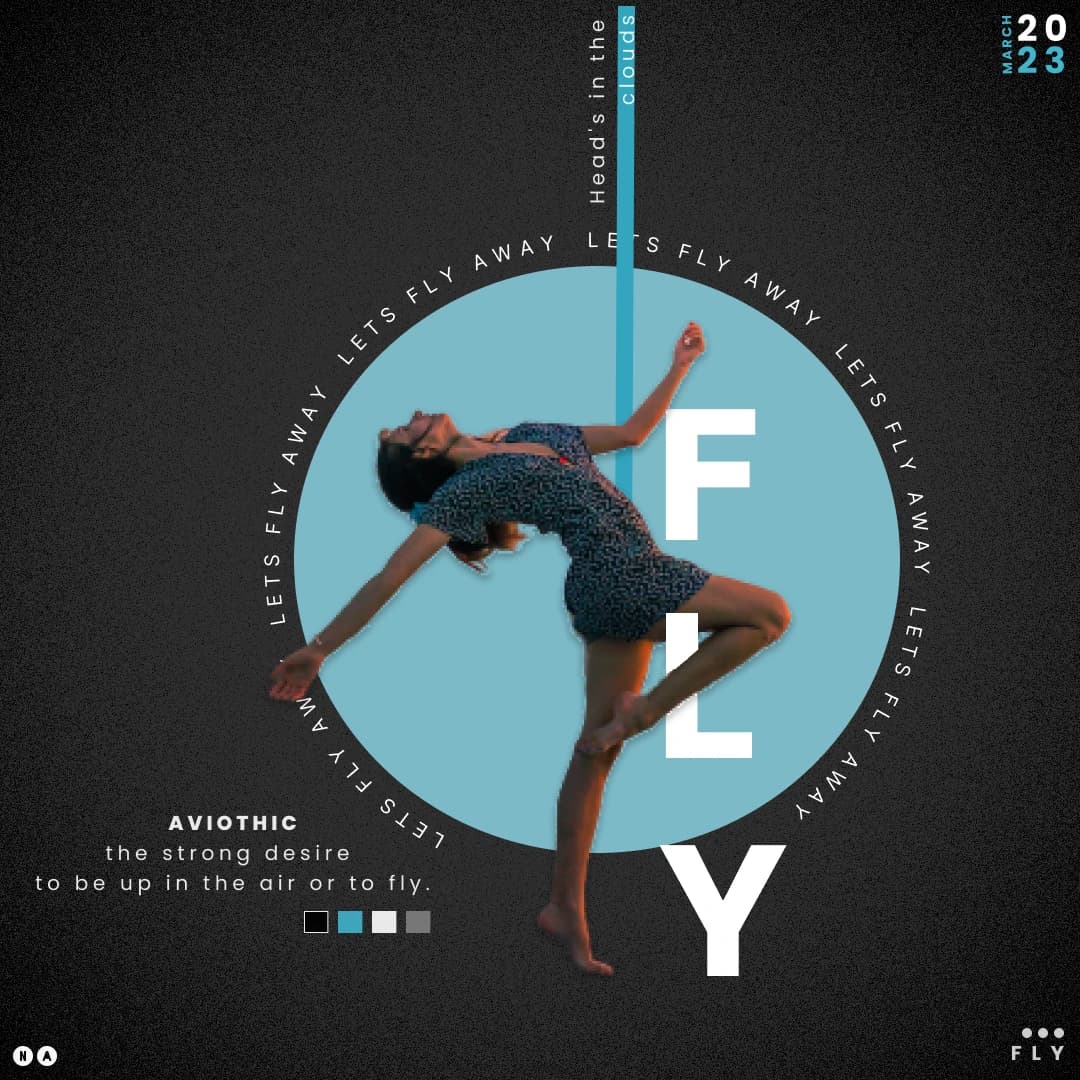 Poster with a dancer inside a blue circle and the big word Fly